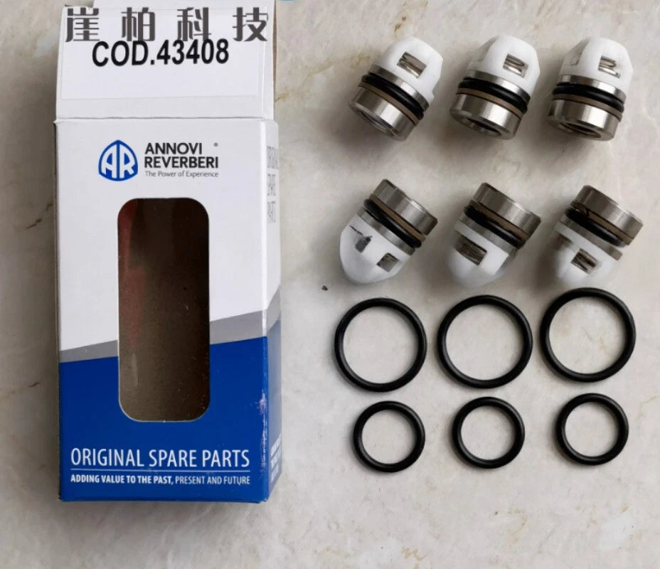 1PC  FIT FOR COD.43408 RGX22.50 500 kg Plunger pump accessories