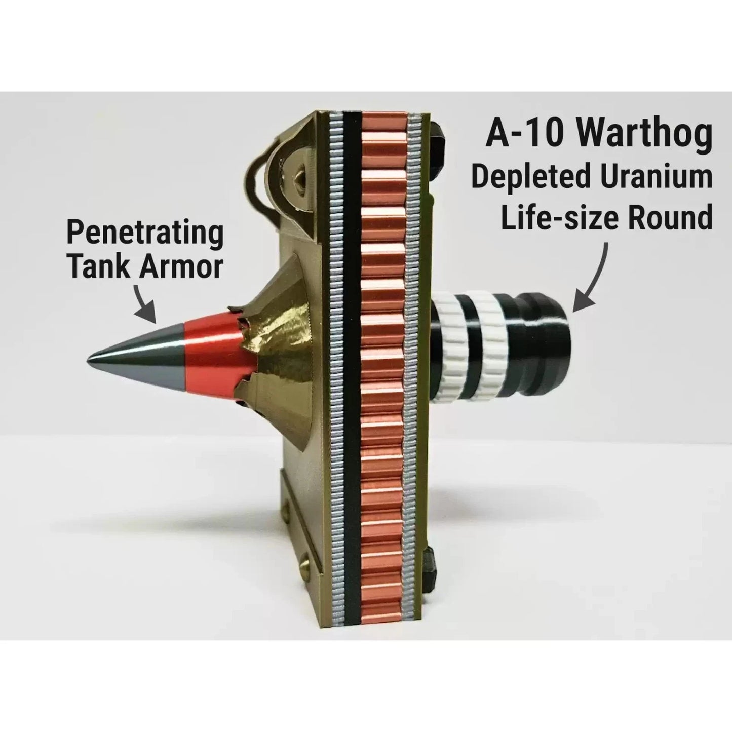 A-10 Warthog Round Display Model - Educational Military Ammo Cutaway