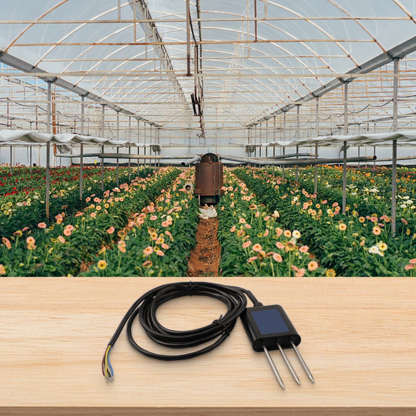 RS485 Soil Sensor Data Refresh Time ��1s Fast Response Flexible Signal Output