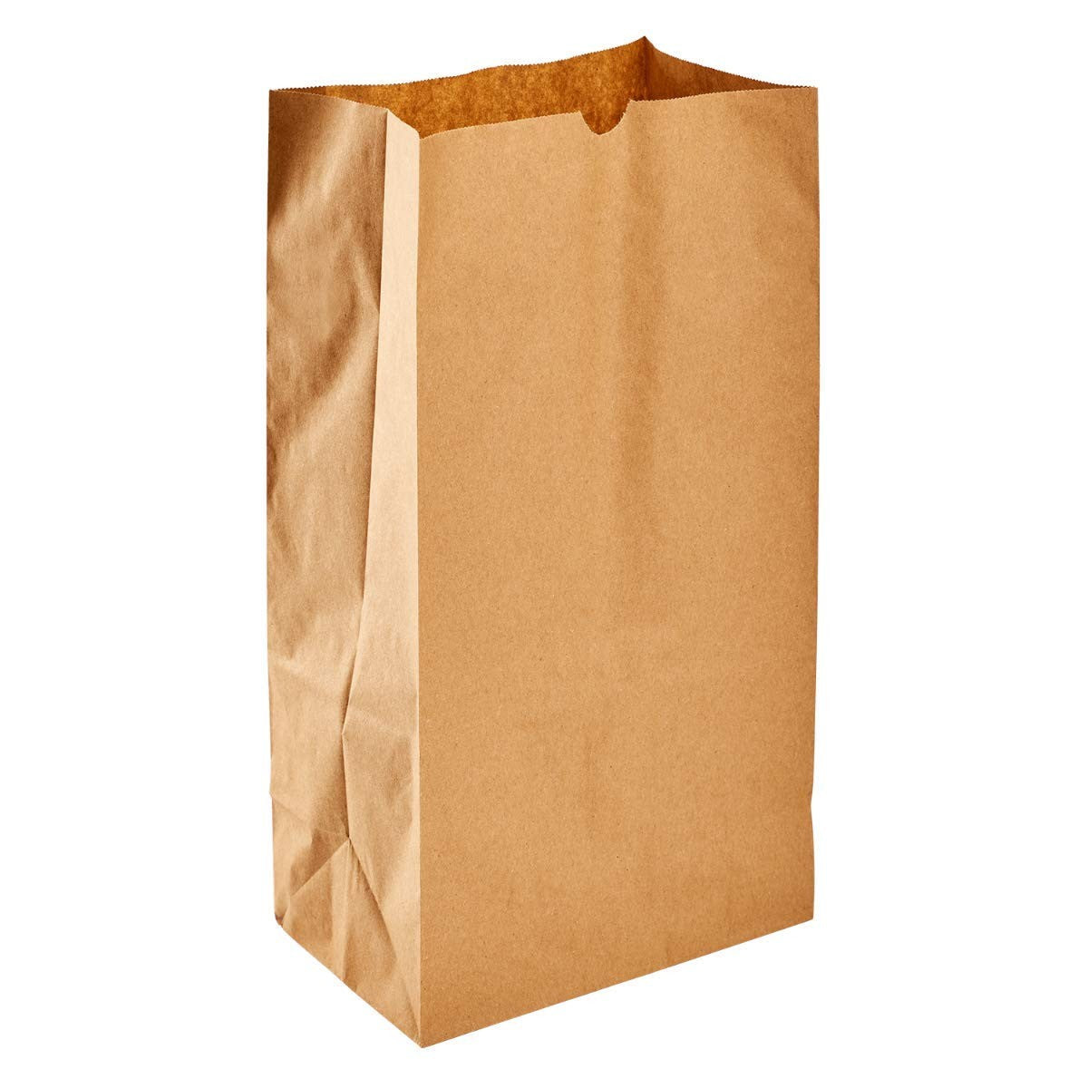 Heavy-Duty Paper Lunch Bags, 12lb Kraft - 1,000 Count Bulk Pack, Self-Standing