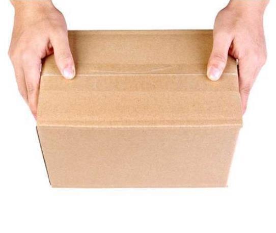 1/piece  Greenlsland Burner Ignition Gas Solenoid Valve GIV10A220A