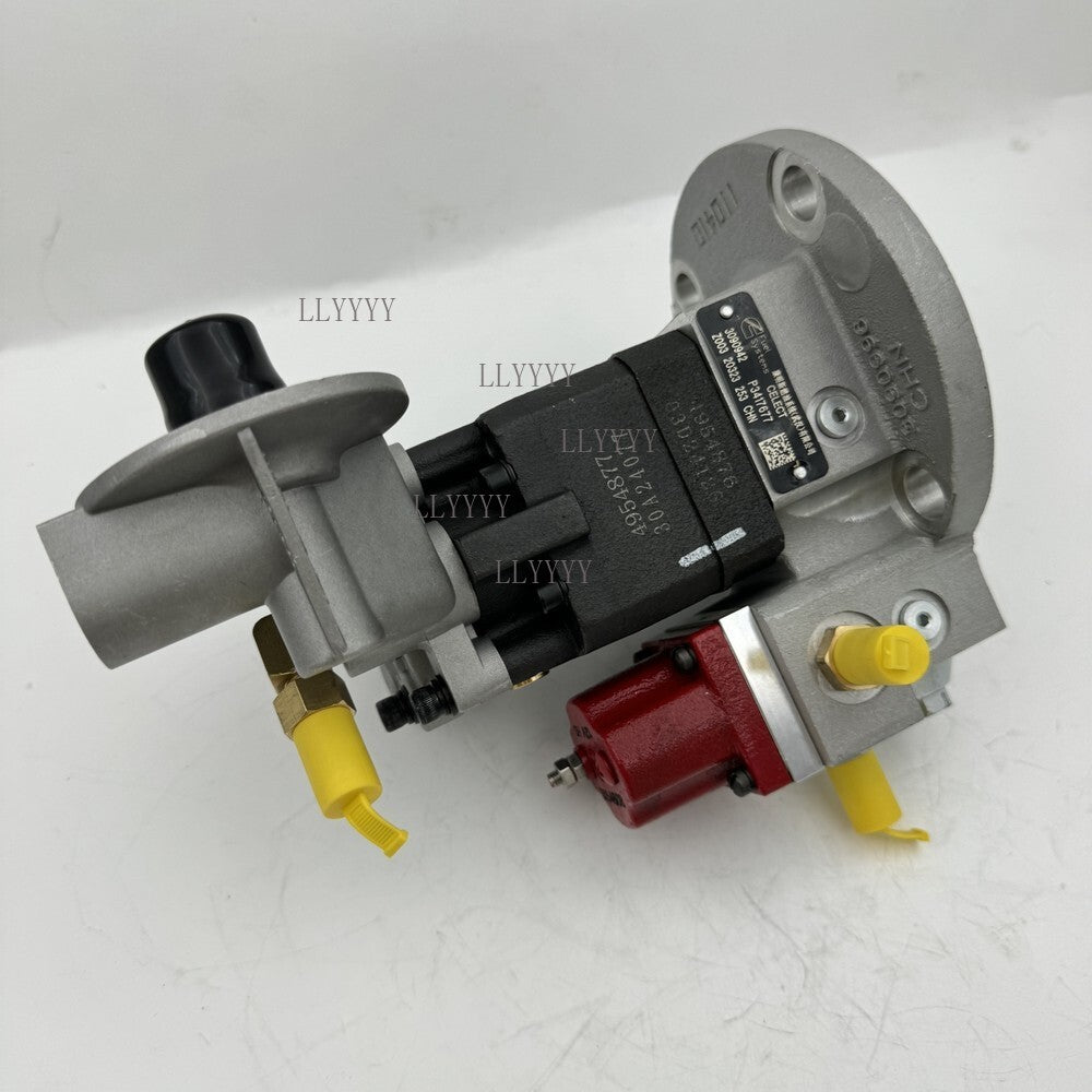 3090942 4954880 Fuel Pump For Cummins N14 M11 QSM11 ISM11 Diesel Engine