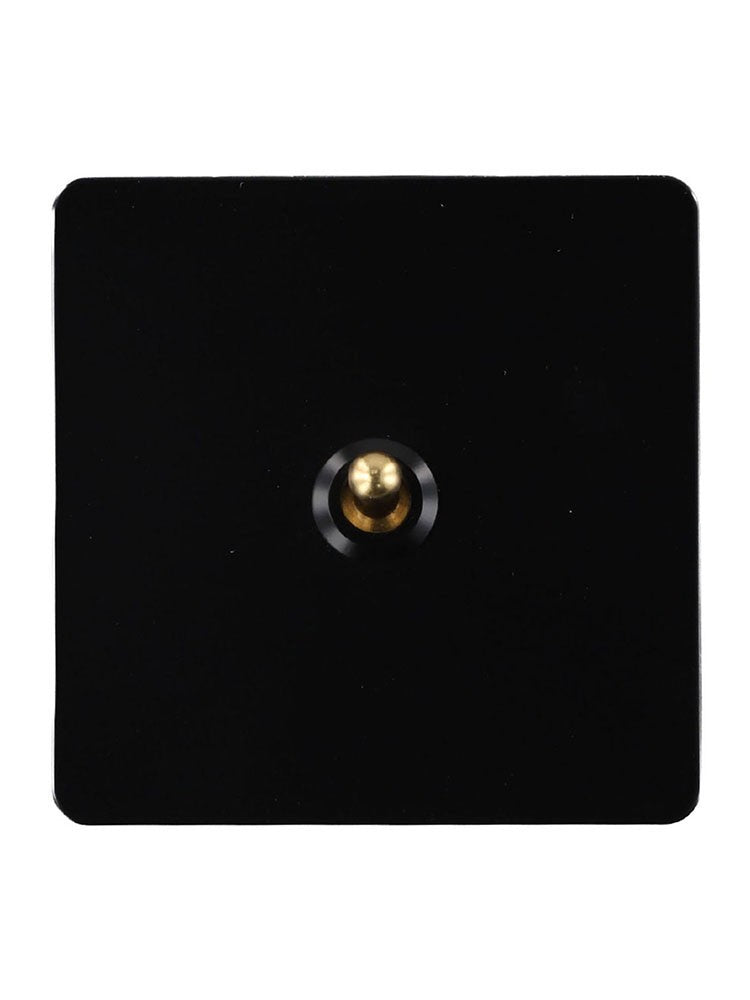 Functional Wall  for TOGGLE Light Switch with Brass Lever and Stainless Steel