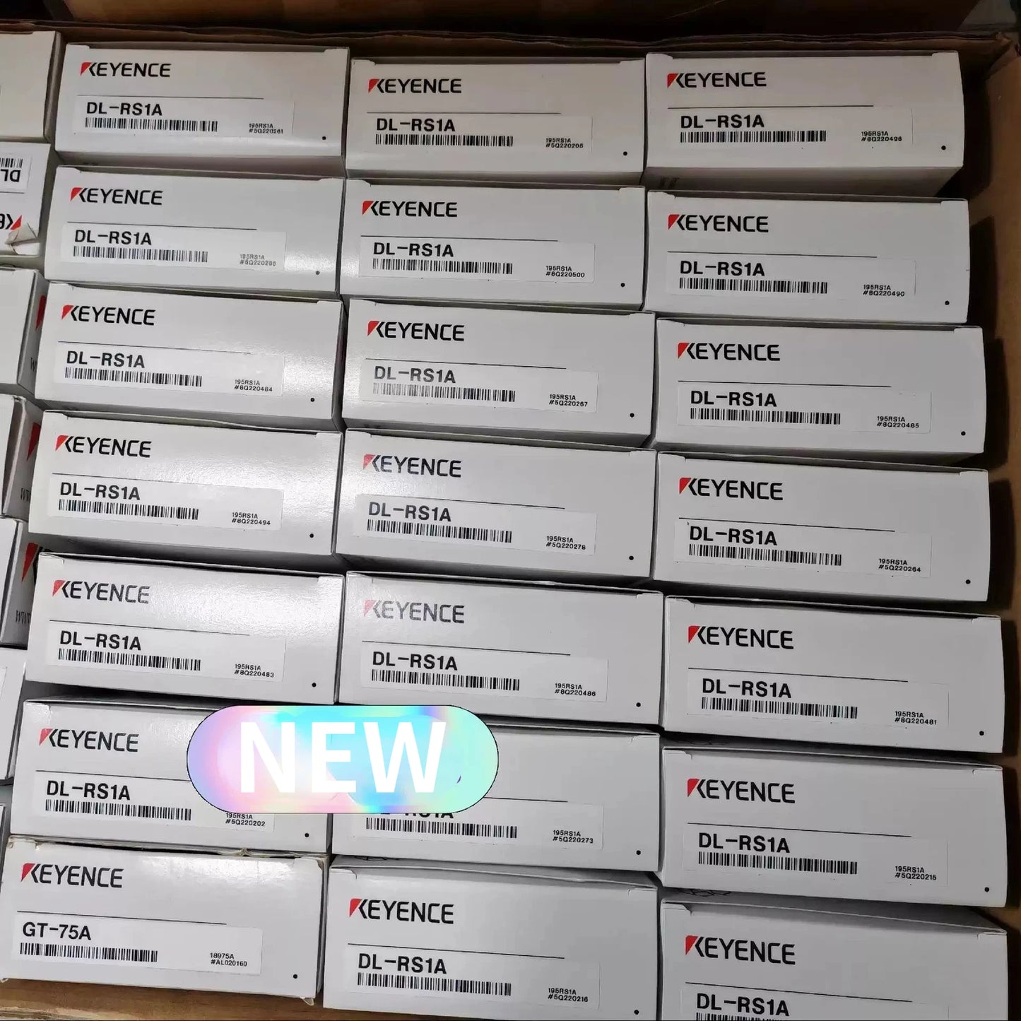 .KEYENCE DL-RS1A  Amplifier Unit shipping #P
