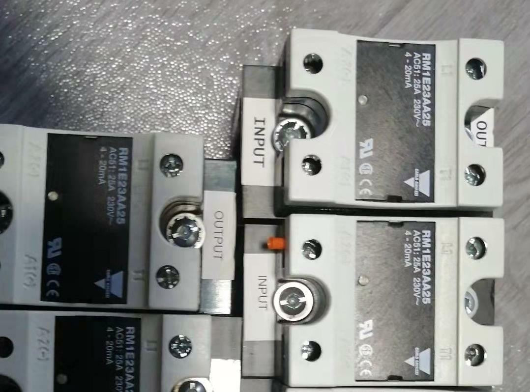 1pc  CARLO GAVAZZI RM1E23AA25 Solid State Relay TESTED