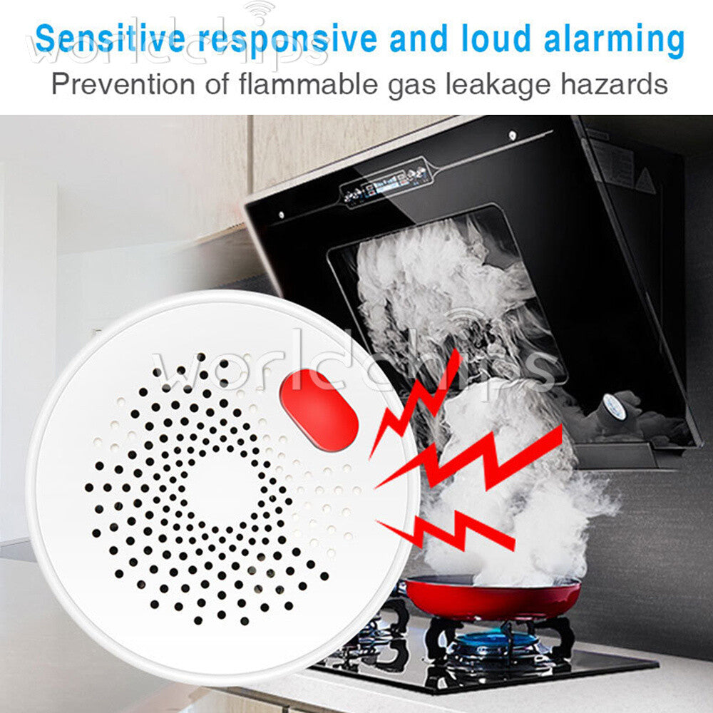 Natural Gas Sensor Combustible /Household Smart WiFi Gas Detector Leakage Alarm