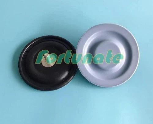 QTY:1  FOR Metering pump diaphragm JWM-A-110/0.3