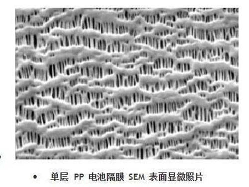 1PCS For 2325/2400/2500 Single-layer PP Diaphragm   Diaphragm