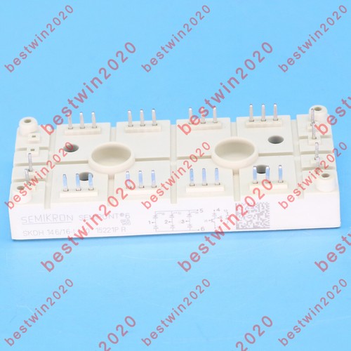 1PS  For SEMIKRON SKDH146/16-L140 Power Module Supply spot stocks