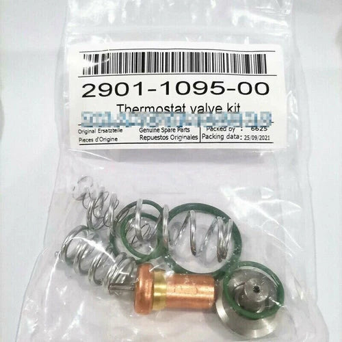 1PC   Thermostat Valve Kit For   Air Compressor GX7 2901109500 2901-1095-00