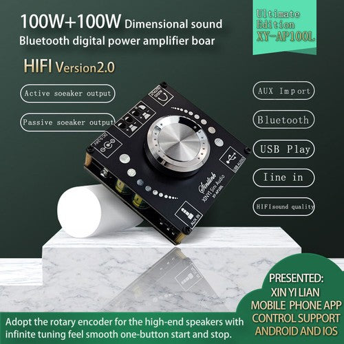 AP100L AP100H 100W Power Stereo Amplifier Board Bluetooth 5.0 AUX Digital Amp