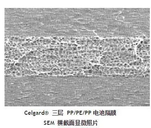 1PCS For 2325/2400/2500 Single-layer PP Diaphragm   Diaphragm