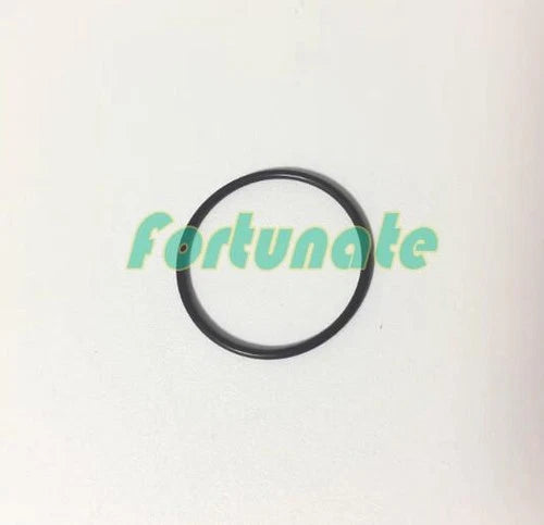 1PC  FOR Hansgrohe Shower empty accessories 98397000 O-ring 22 × 1