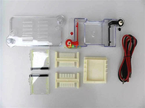 122-3122 27022 Horizontal Electrophoresis Tank High School Biological Equipment