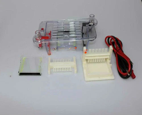 122-3122 27022 Horizontal Electrophoresis Tank High School Biological Equipment
